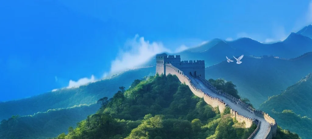 国家税务总局全国统一规范电子税务局官方门户全宽背景